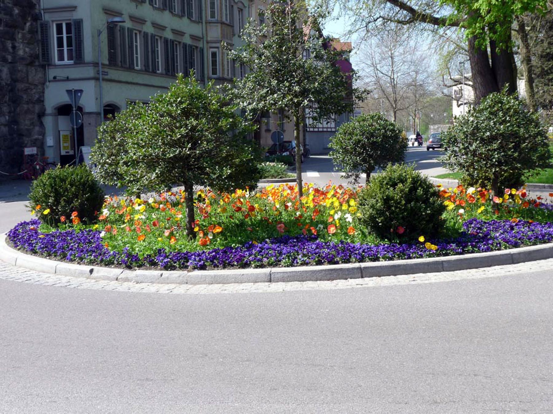 Lindau Blumen